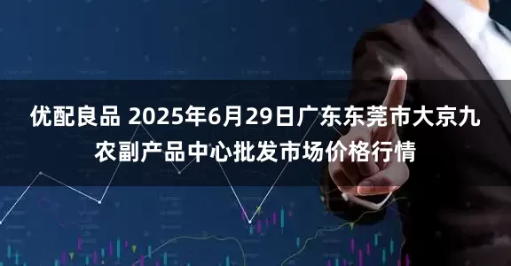优配良品 2025年6月29日广东东莞市大京九农副产品中心批发市场价格行情