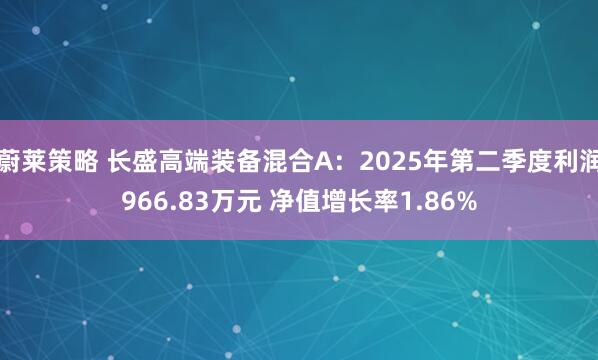 蔚莱策略 长盛高端装备混合A：2025年第二季度利润966.83万元 净值增长率1.86%
