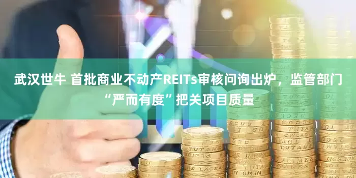 武汉世牛 首批商业不动产REITs审核问询出炉，监管部门“严而有度”把关项目质量
