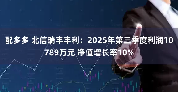 配多多 北信瑞丰丰利:2025年第三季度利润10789万元 净值增长率10%
