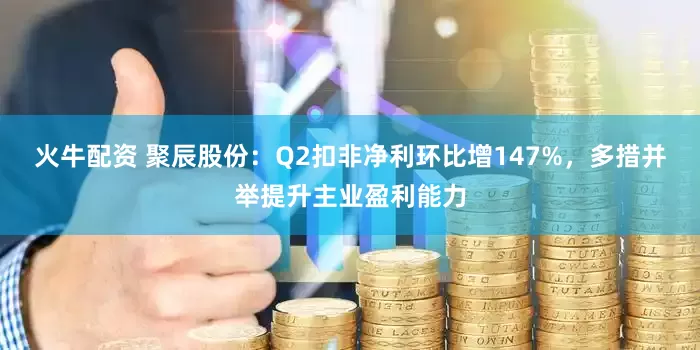 火牛配资 聚辰股份:Q2扣非净利环比增147%,多措并举提升主业盈利能力